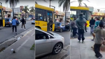 Violencia en el tránsito: un