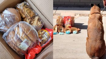 El decomiso fue realizado gracias