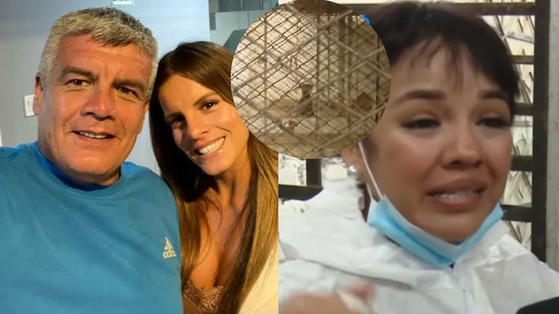 Vecinos de Chaclacayo arremeten contra Alejandra Baigorria y su padre por abandonar albergue de perritos