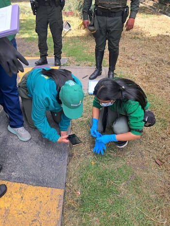 El presunto envenenamiento de seis