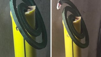 En los últimos días, las