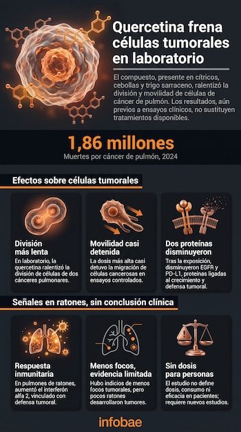 Infografía con ilustraciones de una célula tumoral, estructuras moleculares, división celular, pulmones y una balanza sobre un fondo oscuro.