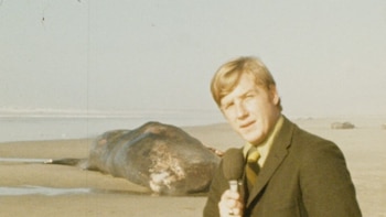 Una costa de Oregón, 20