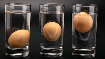 La prueba del huevo en