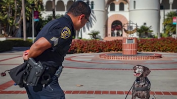 Un ex sargento de la