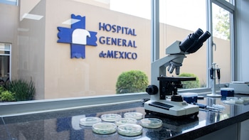 Dos contratos por 333 mdp y análisis obligatorios: lo que se sabe de la empresa encargada del comedor con salmonella en el Hospital General de México