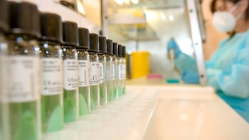 Cataluña llama a los nacidos