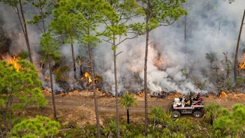 Alerta máxima en Florida por