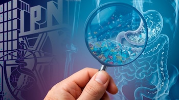 Una mano sostiene una lupa sobre trozos de plástico en un esquema azul del sistema digestivo, junto al logotipo del Instituto Politécnico Nacional