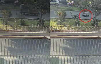 Conductor de miniván atropella a