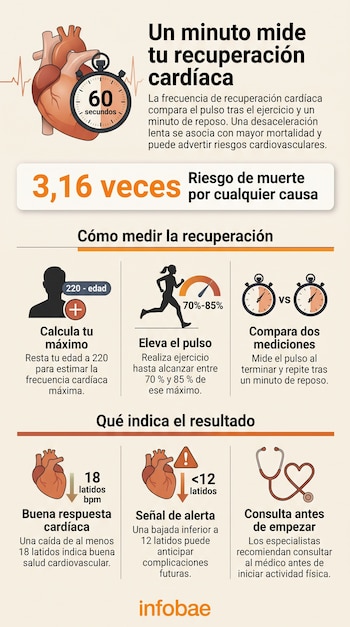 Ilustración de un corazón con un cronómetro de sesenta segundos, pasos para medir el pulso y esquemas explicativos con valores cardíacos.