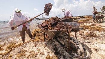 SEMAR dio banderazo a la