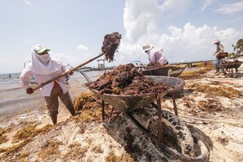 Foto: Elizabeth Ruiz/Cuartoscuro