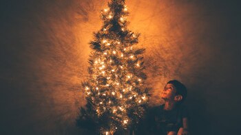 Cuáles son las peores marcas