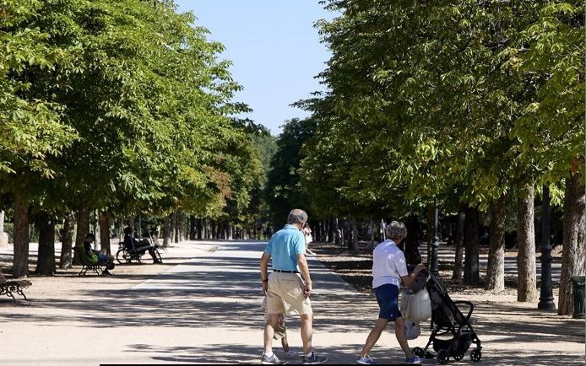 Estudios sobre convivencia muestran que, pese a las etiquetas, existen valores y deseos comunes entre generaciones.
