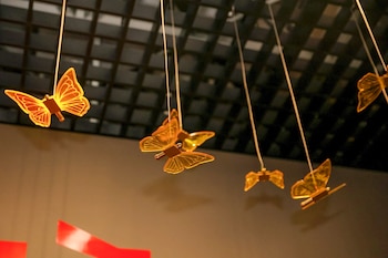 Gustavo Petro afirmó que la