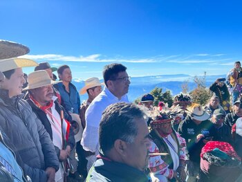 Serán 60 las hectáreas que