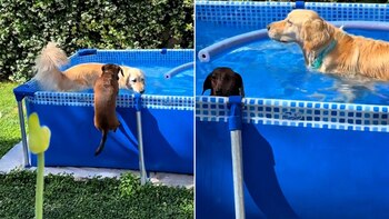 Candelaria compartió que Simona, la