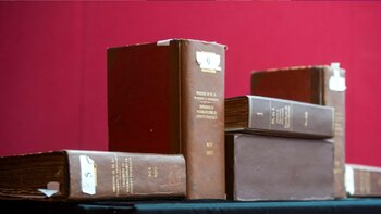 Los registros destacan contribuciones tanto