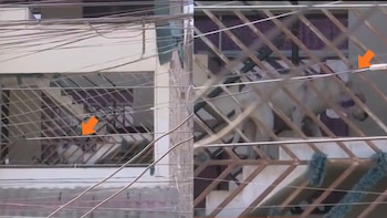 Vecinos aseguran que el perro