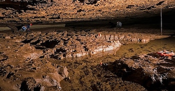 Bobcat Cave concentra un linaje que solo habita la cueva y su acuífero subterráneo (Universidad de Auburn en Montgomery)