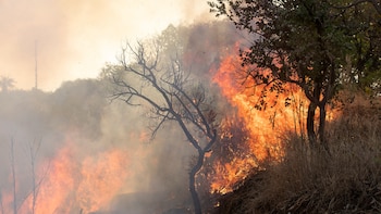 Detectan las mayores emisiones por