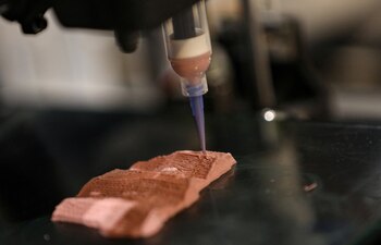 El grupo de Parker utilizó su sistema RJS para cultivar células animales en andamios de gelatina comestible que imitan la textura y consistencia de la carne (REUTERS)