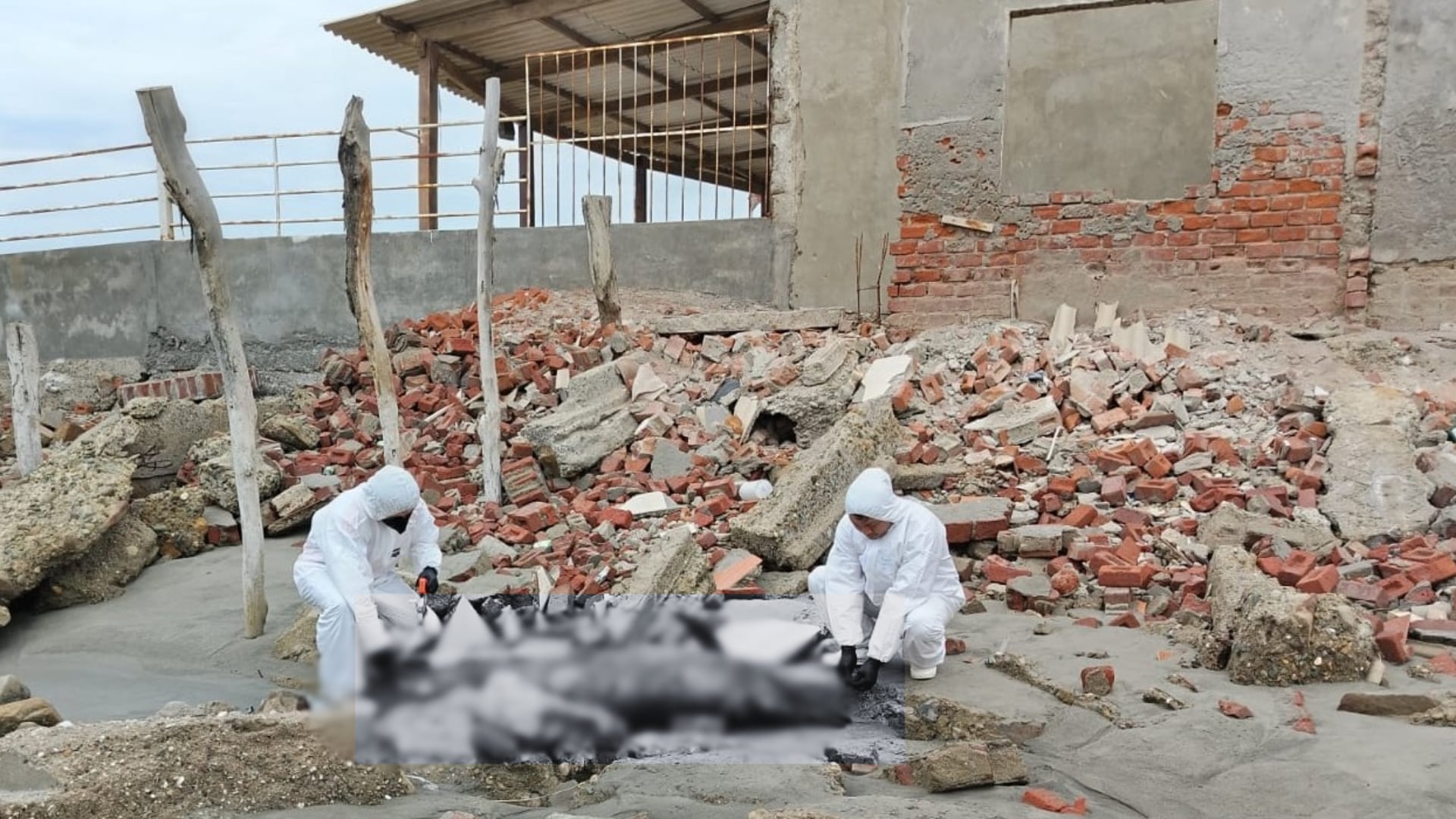 Dos ejemplares de delfín común de hocico corto fueron hallados muertos en la playa de Colán, Piura, con señales que apuntan a interacción con redes de pesca. Foto: IMARPE