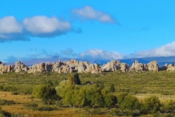 El Grupo de Genética Forestal