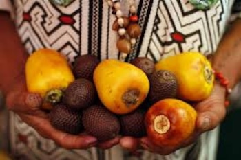 Aprovecha las bondades de la