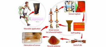 El sensor destaca por su
