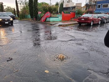 Foto: X: @sandrismondris