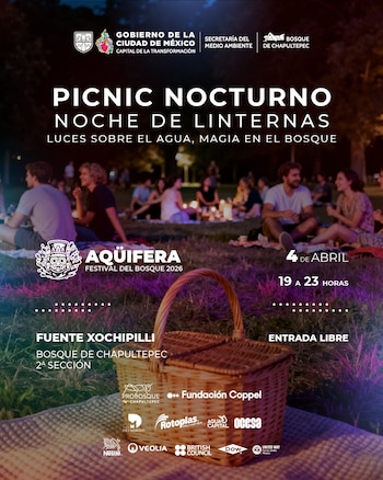 Picnic Nocturno