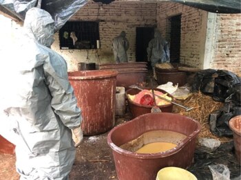 (Foto: Secretaría de la Defensa