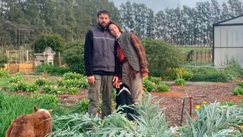 La vorágine de la ciudad