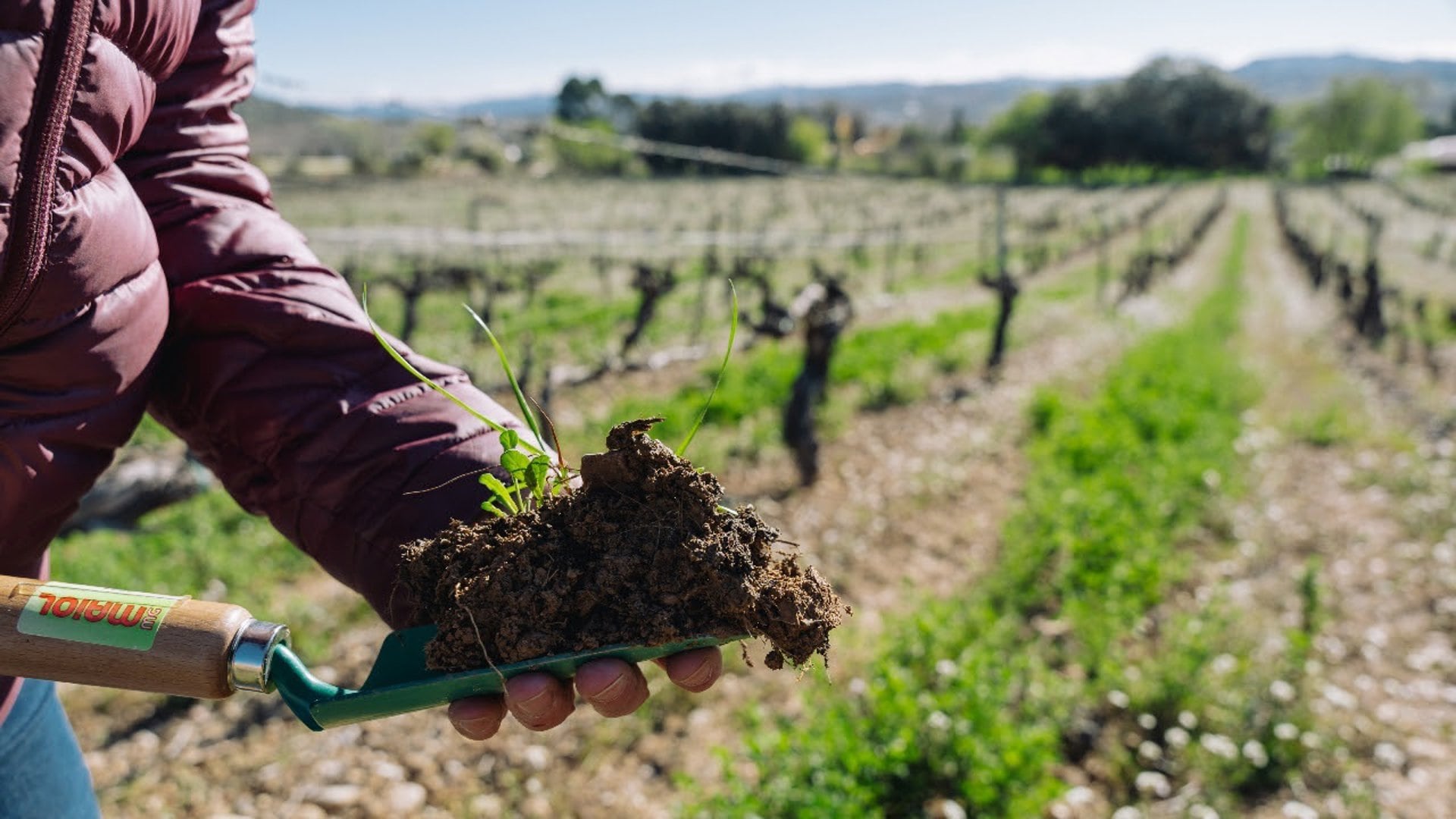 La Eurocámara adopta nuevas medidas para proteger a los agricultores frente a prácticas comerciales desleales