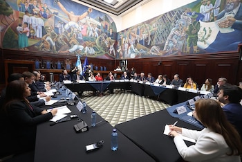 Delegados de diversas entidades participan