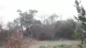 La inusual nevada en Lincoln,