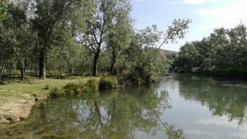 Estas son las cinco zonas