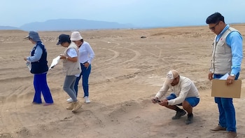 Intervención ilegal con maquinaria pesada daña más de 2 mil metros cuadrados del sitio arqueológico Pakatnamú en La Libertad