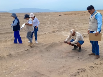 Inspección técnica confirmó uso de maquinaria pesada y exposición de cerámica, afectando el contexto histórico del sitio prehispánico.