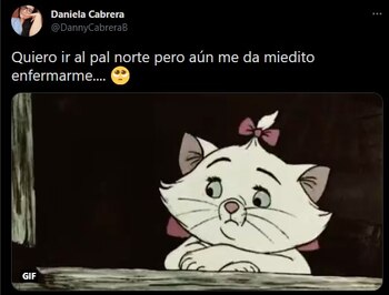 (Foto: captura de pantalla de