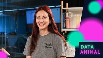 Juguetes interactivos para perros: de