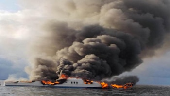 Hasta ahora se desconoce su