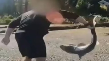 Connor Seifert fue arrestado por pescar tiburones de manera ilegal. (Departamento de Pesca y Vida Silvestre de Washington)