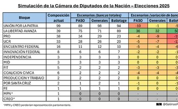 Simulación de la Cámara de Diputados de la Nación – Elecciones 2025