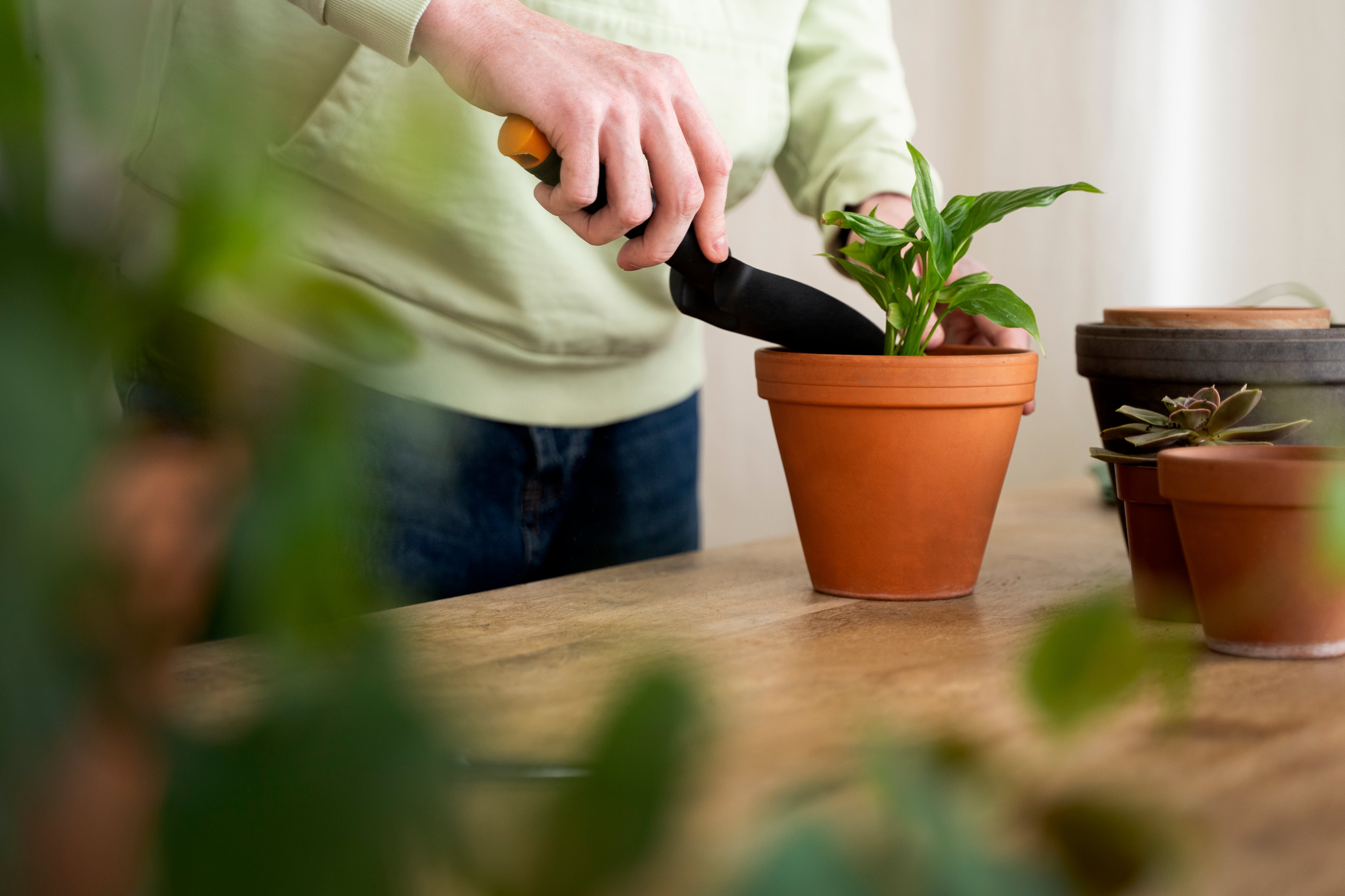 Una mujer cuida las plantas (Magnific)