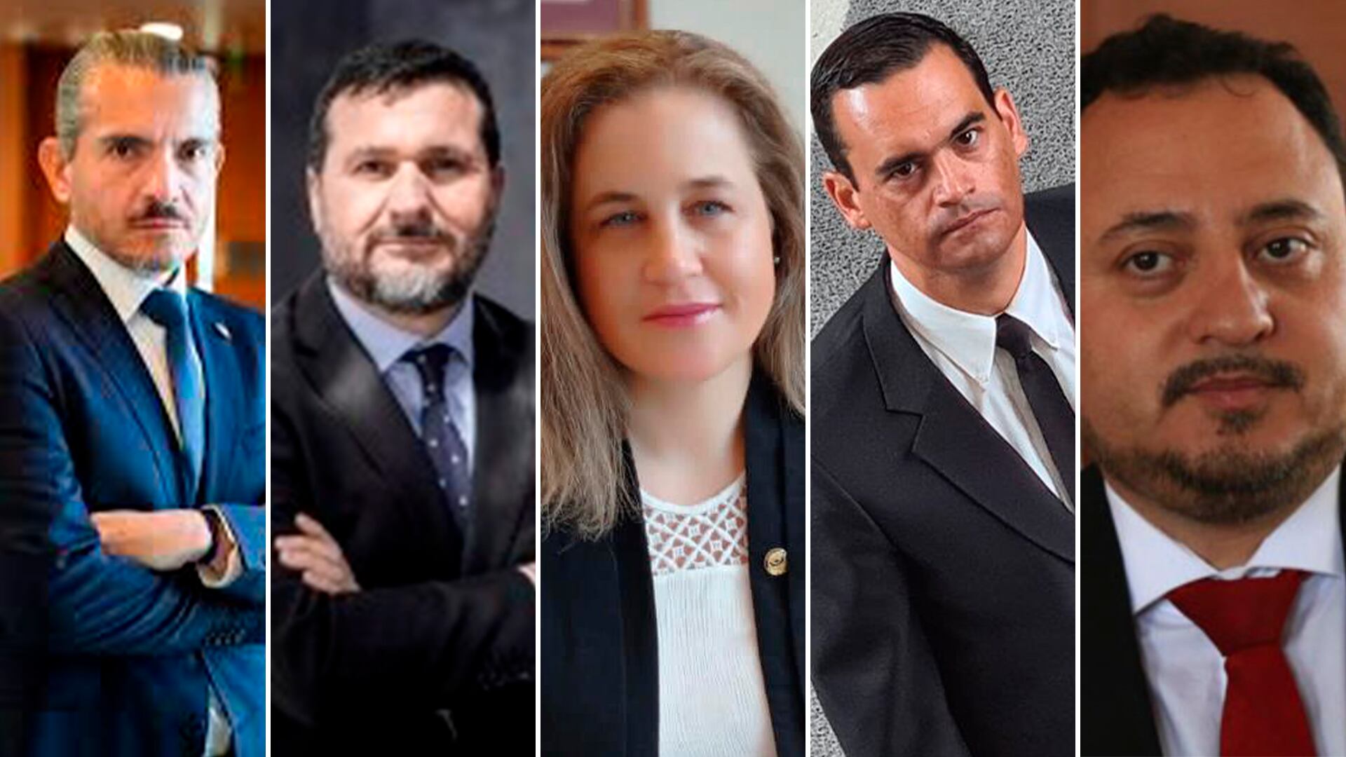 Juan Castro Bekios, Héctor Barros, Carmen Gloria Wittwer, Roberto Garrido y Mario Carrera.