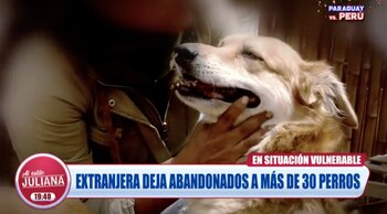 Ciudadana extranjera abandonó a 32