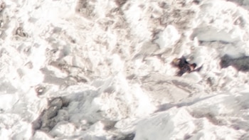 Primer plano borroso de una superficie de montaña con acumulaciones de nieve y rocas expuestas, con una forma oscura indistinta en el centro